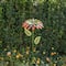Glitzhome® 41" Multi Garden Painted Metal Flower Garden Yard Stake